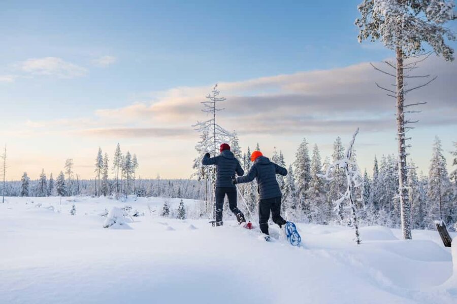 Rovaniemi: Snowshoe Wilderness Adventure - Key points to know before you book