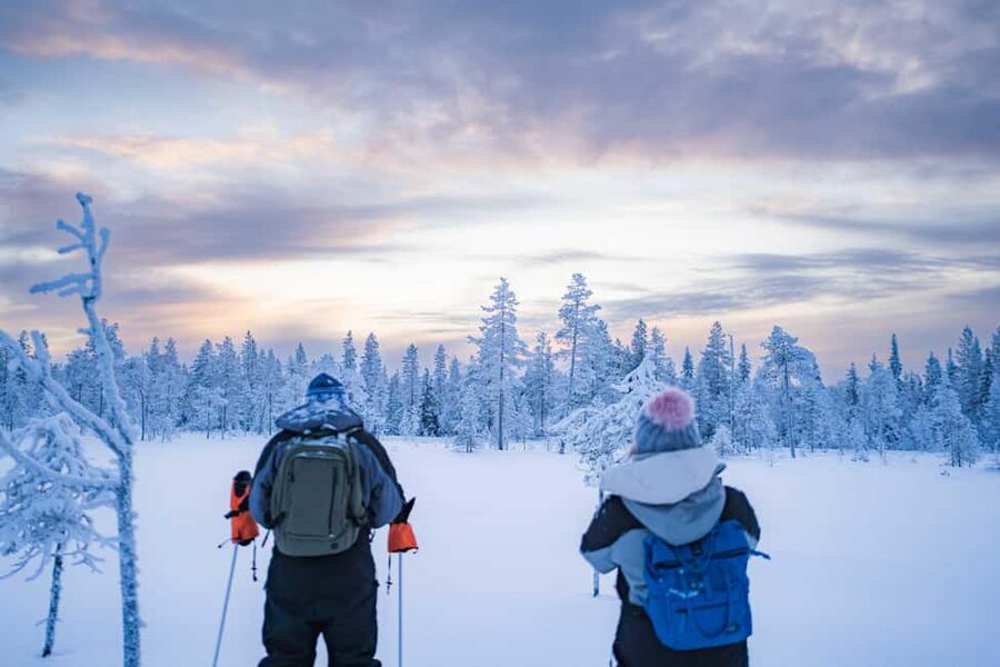 Rovaniemi: Snowshoe Wilderness Adventure - Leaving Rovaniemi for the Arctic woods