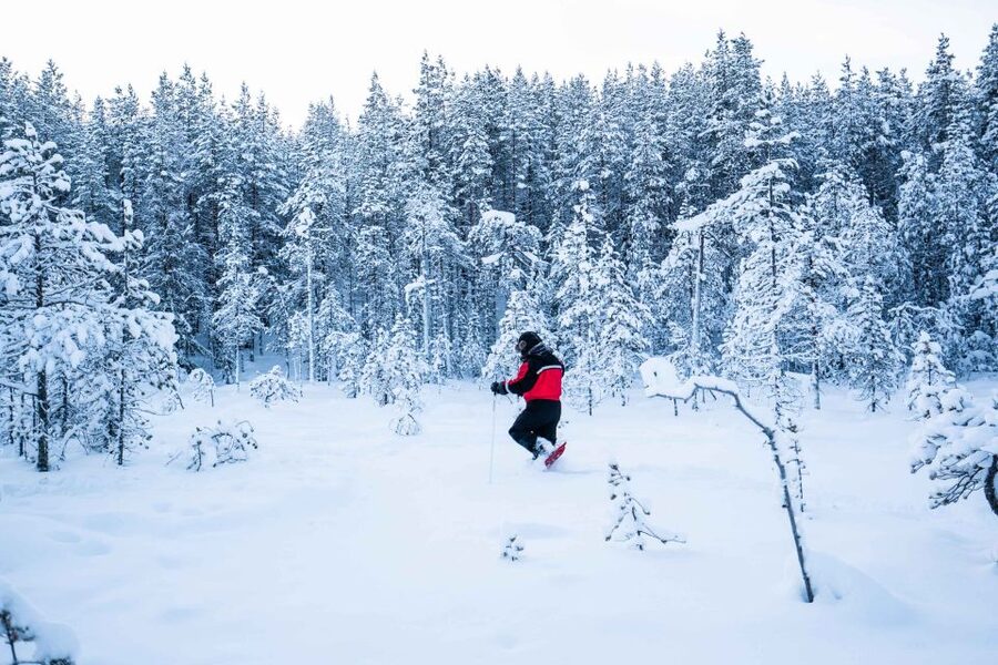 Rovaniemi: Snowshoe Wilderness Adventure - Walking several kilometers with a photographer