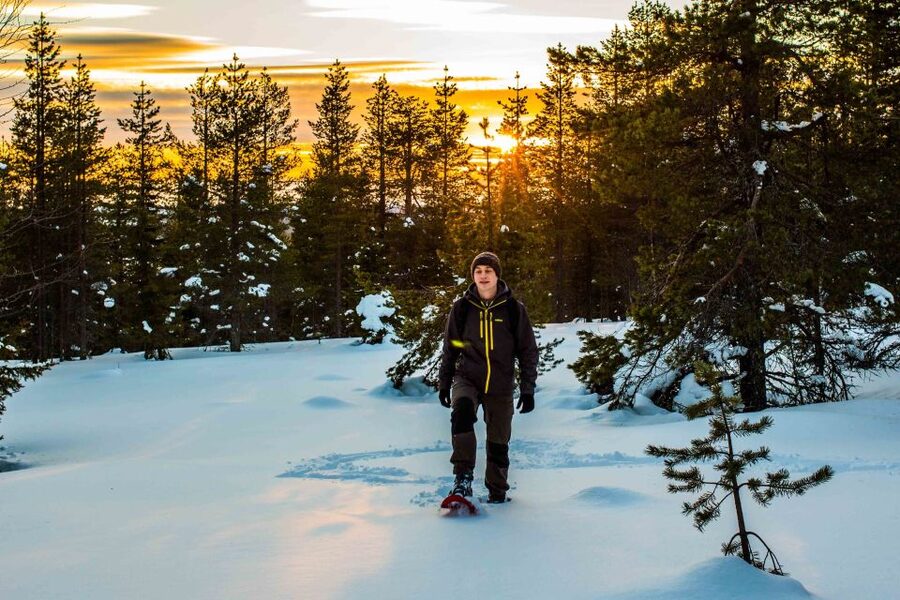 Rovaniemi: Snowshoe Wilderness Adventure - Campfire time in a teepee shelter
