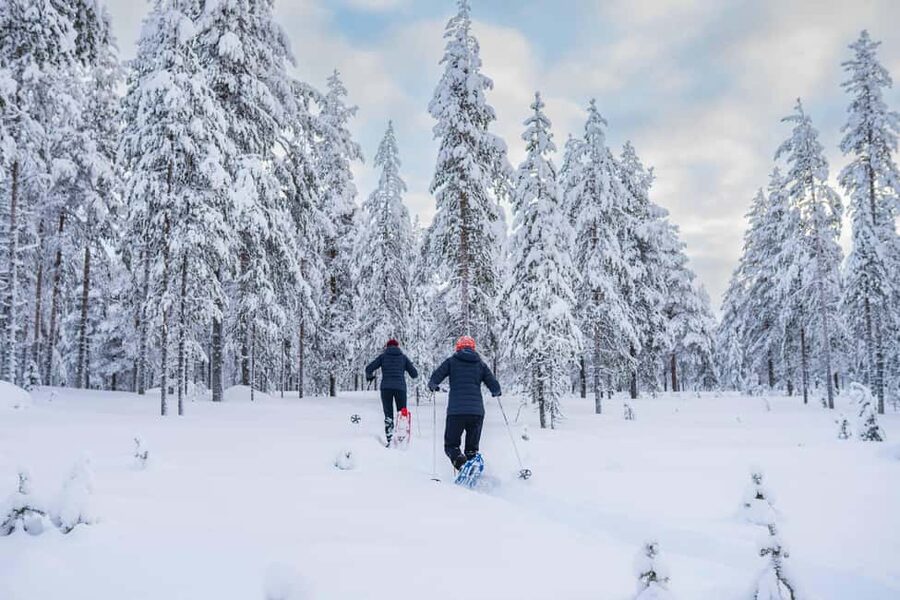 Rovaniemi: Snowshoe Wilderness Adventure - Who will enjoy this most