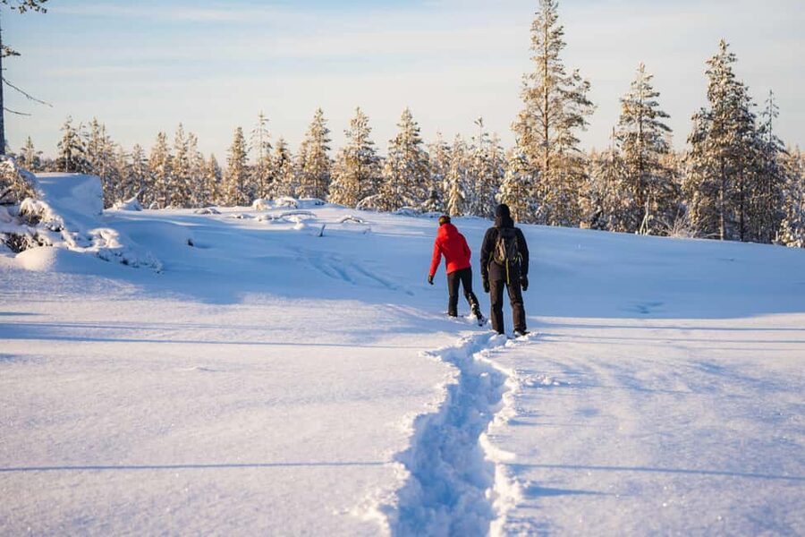 Rovaniemi: Snowshoe Wilderness Adventure - Should you book the Snowshoe Wilderness Adventure?