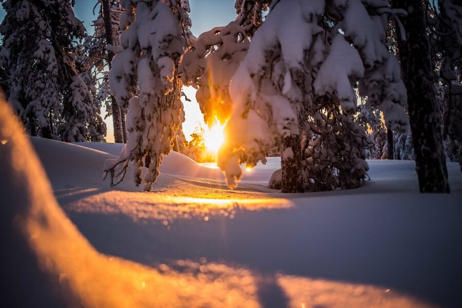 Rovaniemi: Snowshoe Wilderness Adventure - Fitting snowshoes for deep snow