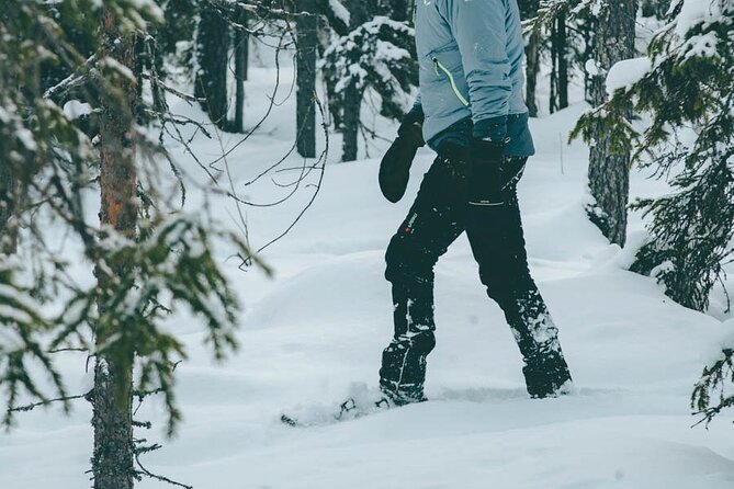 Rovaniemi: Snowshoeing in a magical snowy forest - Fire, sausages, snacks, and hot juice