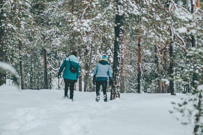 Rovaniemi: Snowshoeing in a magical snowy forest - Photos from the guide add real value