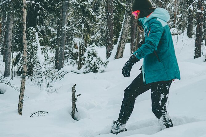 Rovaniemi: Snowshoeing in a magical snowy forest - Who will enjoy this most