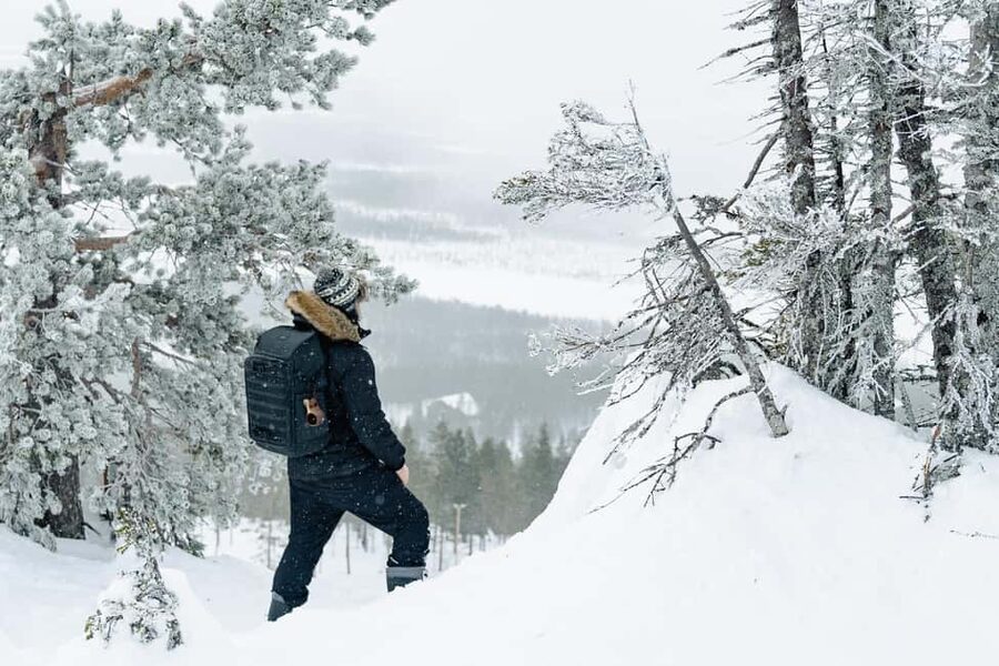Rovaniemi: Snowshoeing in the Arctic Wilderness - Into the Arctic forest near Rovaniemi