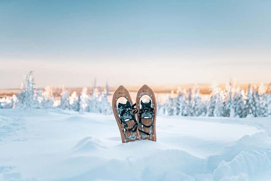 Rovaniemi: Snowshoeing in the Arctic Wilderness - Stories about wildlife, trees, and Arctic traditions