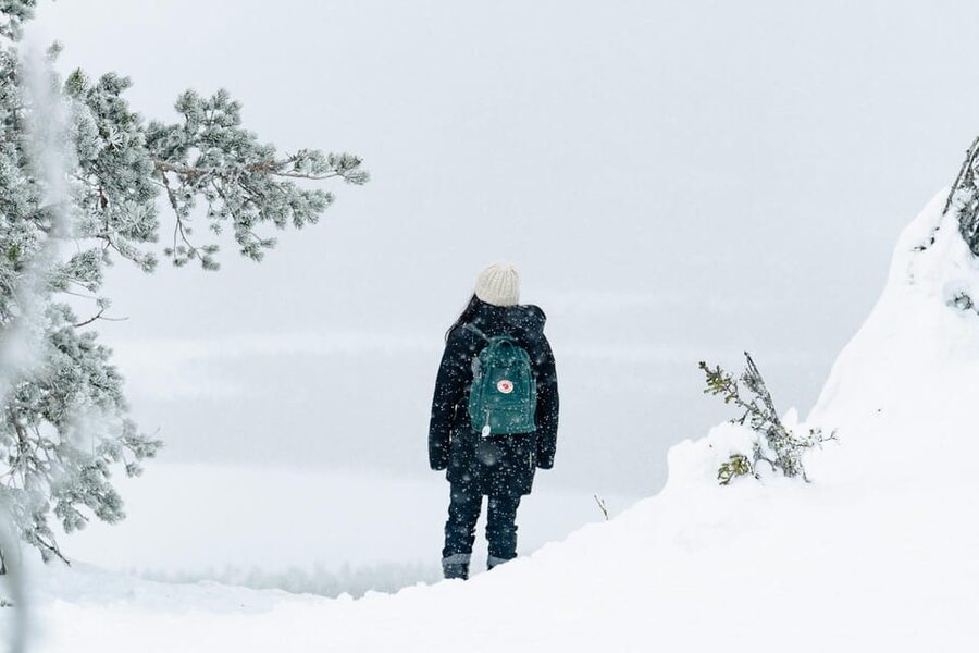 Rovaniemi: Snowshoeing in the Arctic Wilderness - The campfire is the heart of the trip