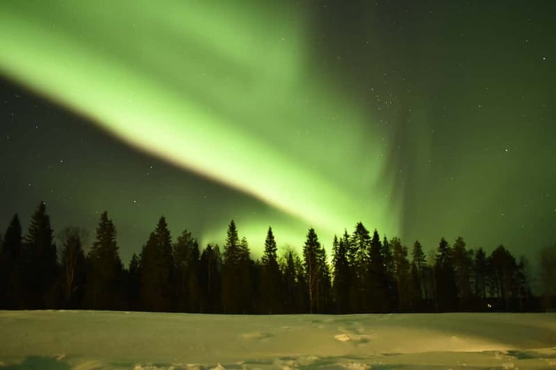Rovaniemi: Snowtrain to Northern Lights Camp - Why the Snowtrain makes this Rovaniemi outing different