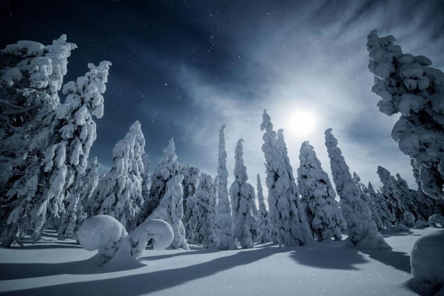 Rovaniemi: Snowy Forest Night Hike with Northern Lights - A quiet way to meet the Arctic night