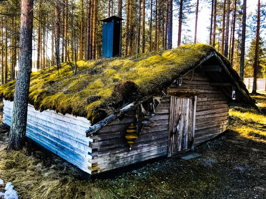 Rovaniemi: Summer Reindeer Farm Experience - Meeting the herder and seeing a working farm
