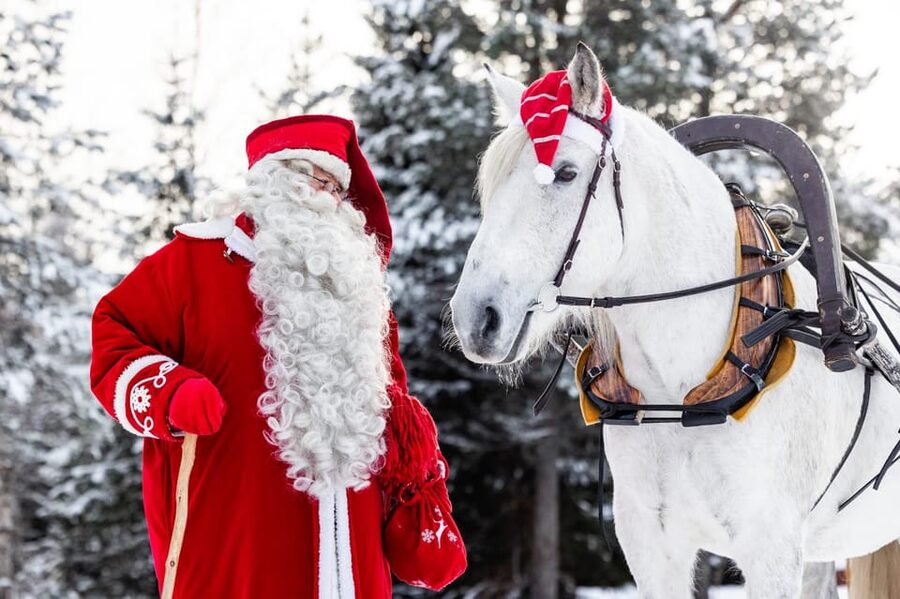 Rovaniemi: Traditional Finnhorse Sleigh Ride at SCV (3km) - Key points to know before you book