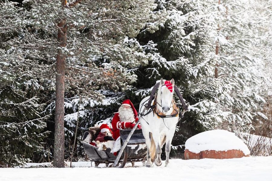 Rovaniemi: Traditional Finnhorse Sleigh Ride at SCV (3km) - A slower kind of Lapland adventure