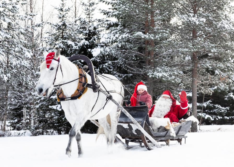 Rovaniemi: Traditional Finnhorse Sleigh Ride at SCV (3km) - Finding Aurora Horses Napapiiri from Santa Claus Village