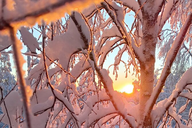Rovaniemi: Trip to Ranua Zoo with Tickets Included - Food, warm drinks, and the return journey