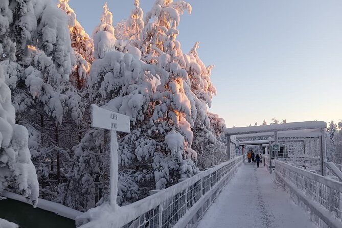 Rovaniemi: Trip to Ranua Zoo with Tickets Included - Price and value at $120.15