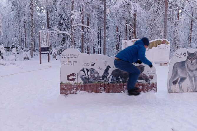 Rovaniemi: Trip to Ranua Zoo with Tickets Included - Inside Ranua Wildlife Park