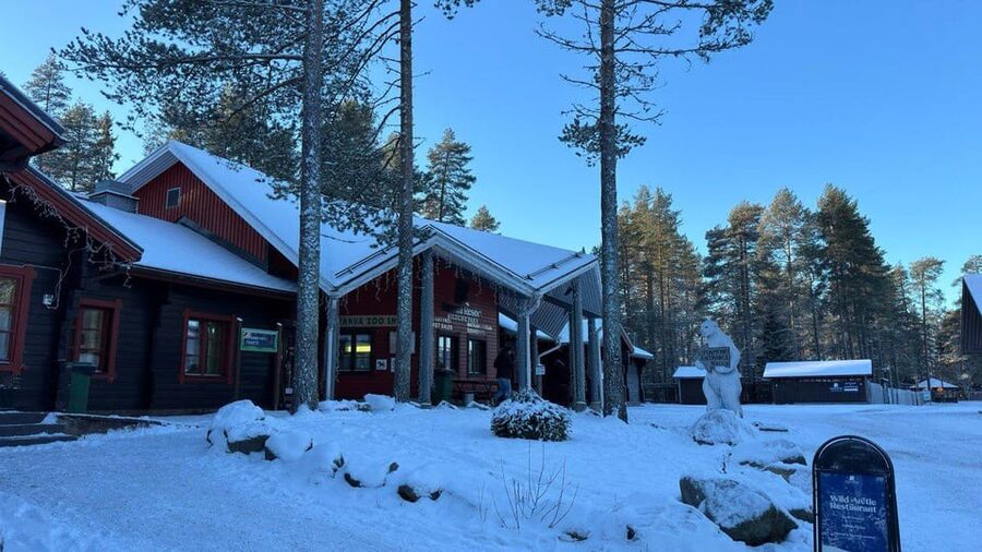 Rovaniemi: trip to the Ranua Zoo (transportation, tickets) - What the $117 price includes