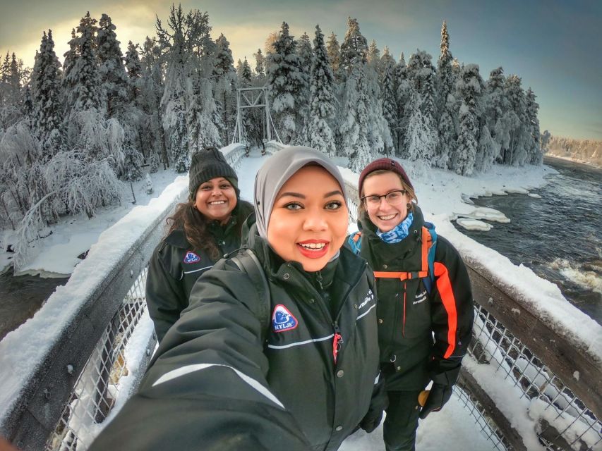 Rovaniemi: Vaattunki Hiking Arctic Circle Trail - Key points to know before booking