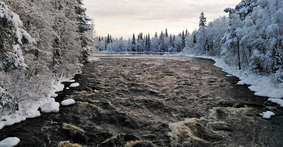 Rovaniemi: Vaattunki Hiking Arctic Circle Trail - Who should book this walk?