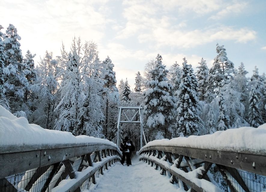 Rovaniemi: Vaattunki Hiking Arctic Circle Trail - Leaving Rovaniemi for Vaattunki