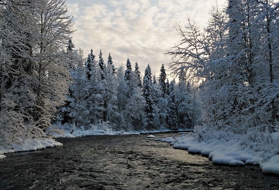 Rovaniemi: Vaattunki Hiking Arctic Circle Trail - Is $104 a fair price?