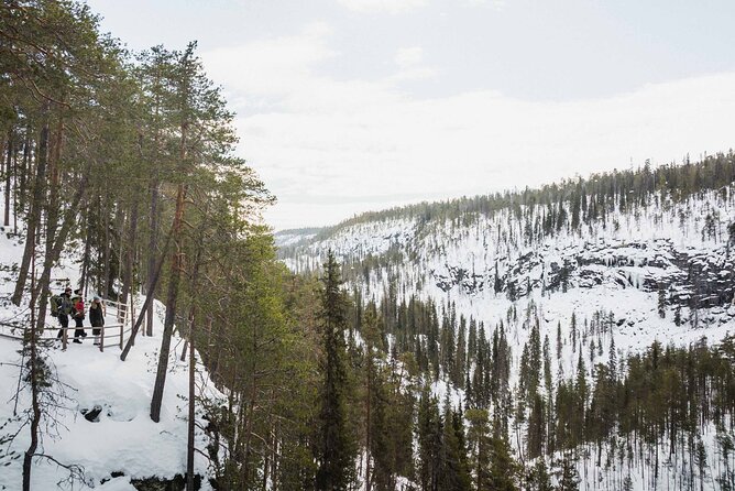 Rovaniemi - Visit to The Frozen Waterfalls of Korouoma - Key points to know before booking
