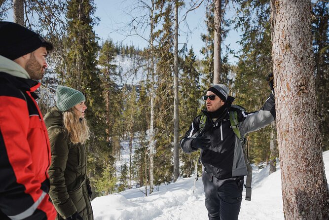 Rovaniemi - Visit to The Frozen Waterfalls of Korouoma - The three icefalls and the canyon below