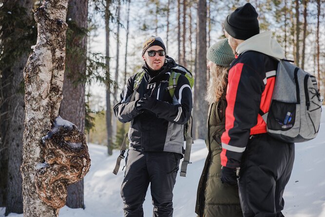 Rovaniemi - Visit to The Frozen Waterfalls of Korouoma - Price and overall value