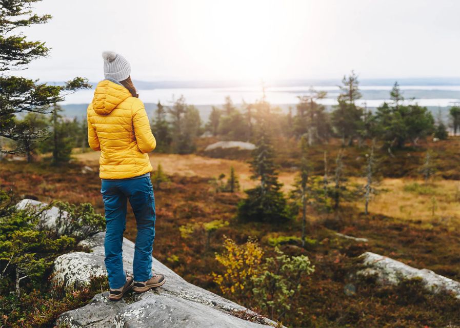 Rovaniemi: Wild Moose Safari - Why sunset is the right time to search