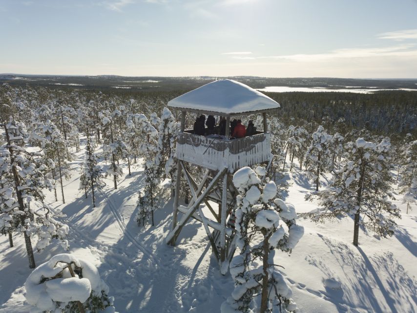 Rovaniemi: Wilderness Tour - Leaving Rovaniemi for the forest