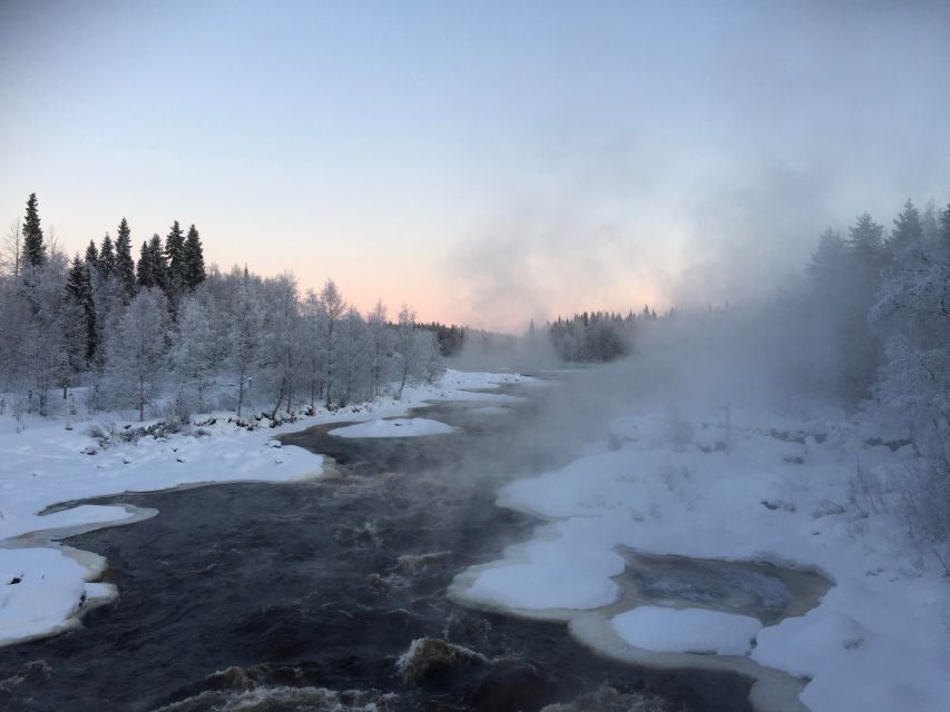 Rovaniemi: Wilderness Tour - Sausages, hot chocolate, and a quiet viewpoint