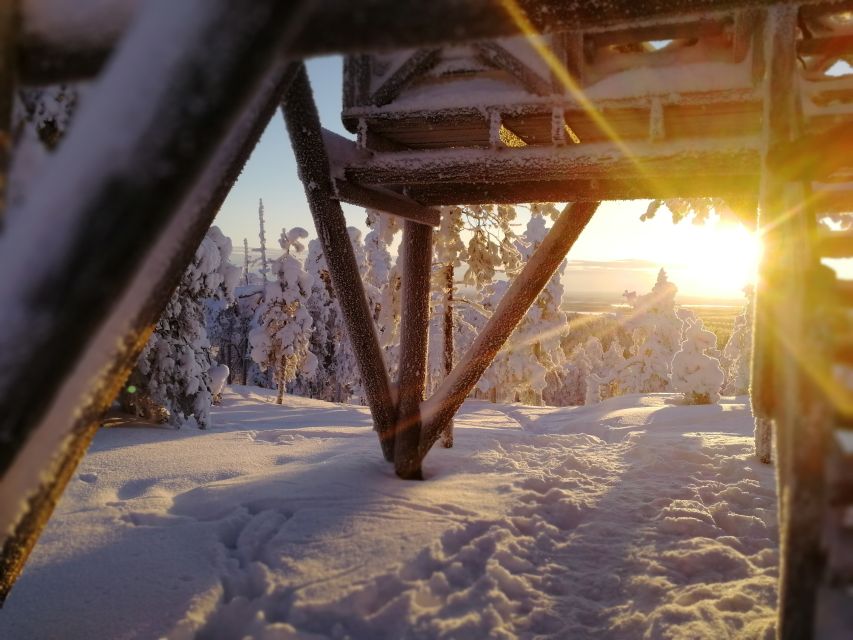 Rovaniemi: Wilderness Tour - Why the guide matters so much