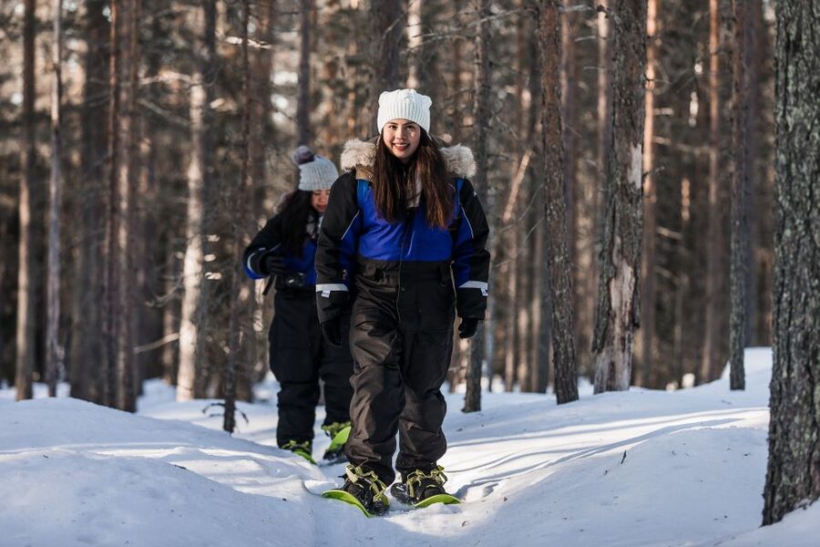 Rovaniemi: Winter Wilderness Snowshoeing Trip - What the $104 price really covers