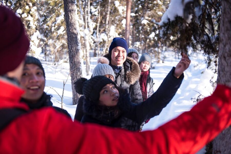 Rovaniemi: Winter Wilderness Snowshoeing Trip - Old forests and frozen wetlands