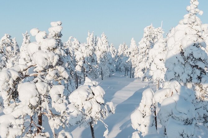 Rovaniemi: Winter Wonderland Vikaköngäs Hiking Tour & BBQ - What the Vikaköngäs winter hike is really like