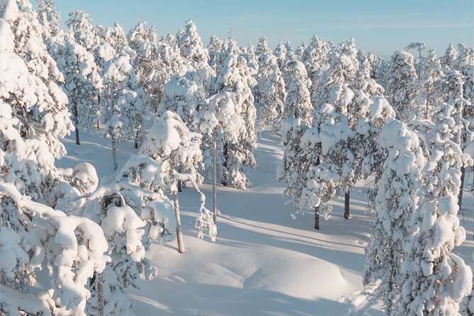 Rovaniemi: Winter Wonderland Vikaköngäs Hiking Tour & BBQ - Why the small group matters