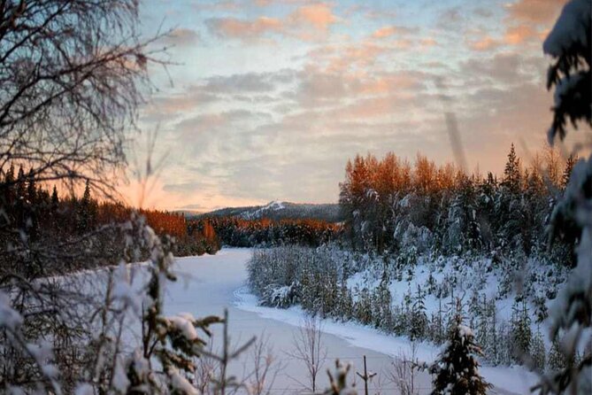 Rovaniemi: Winter Wonderland Vikaköngäs Hiking Tour & BBQ - Crossing the bridge into the forest