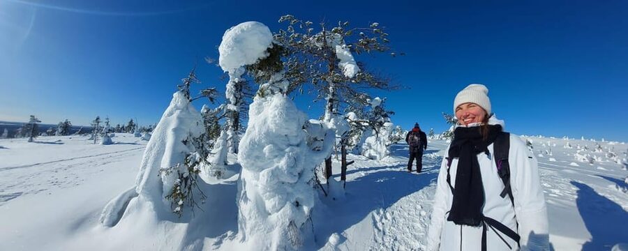 Ruka: Riisitunturi National Park with lunch. - Wildlife, stories, and the Finnish way of life