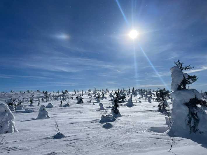 Ruka: Riisitunturi National Park with lunch. - Who will enjoy this outing most?