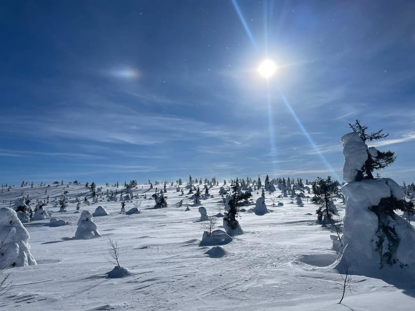 Ruka: Riisitunturi National Park with lunch. - Walking through a snowy Finnish national park