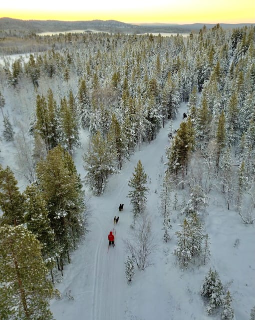 Saariselkä: 10KM Husky Safari with kennel visit - The ride begins with a long northern transfer