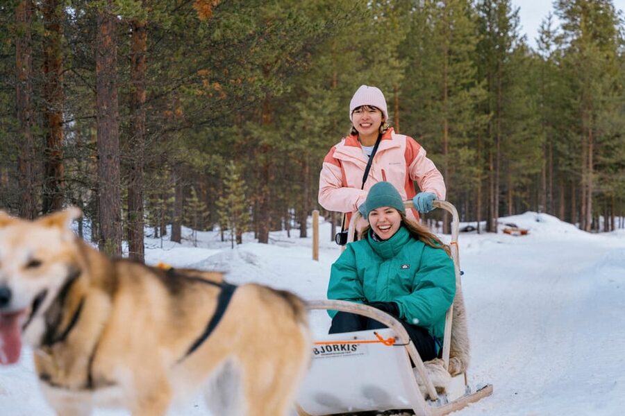 Saariselkä: 10KM Husky Safari with kennel visit - A 10 km husky safari through snowy forest