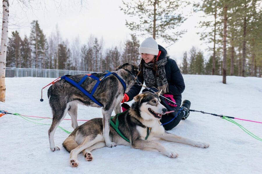 Saariselkä: 10KM Husky Safari with kennel visit - How to stay warm on the trail