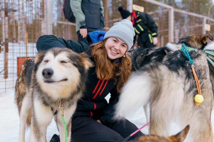 Saariselkä: 10KM Husky Safari with kennel visit - Is $234 a fair price?