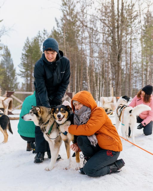 Saariselkä: 10KM Husky Safari with kennel visit - Who will enjoy this Saariselkä husky safari?
