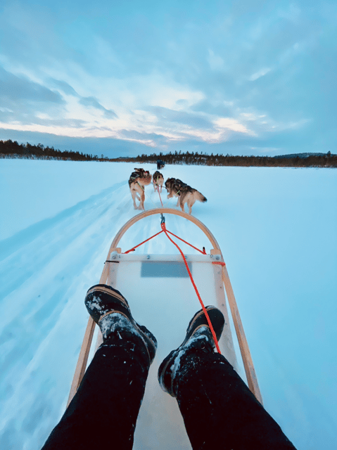 Saariselkä: 10KM Husky Safari with kennel visit - Safety briefing before you handle the sled