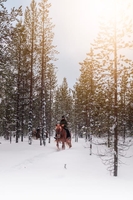 Saariselkä: Arctic Trail Horse Riding Tour - A slow ride through Saariselkä’s forest