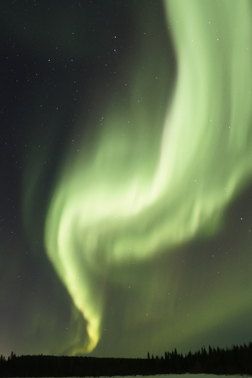 Saariselkä: Aurora Photo Tour by Car with Transfer & Drinks - Who Will Get the Most From This Tour
